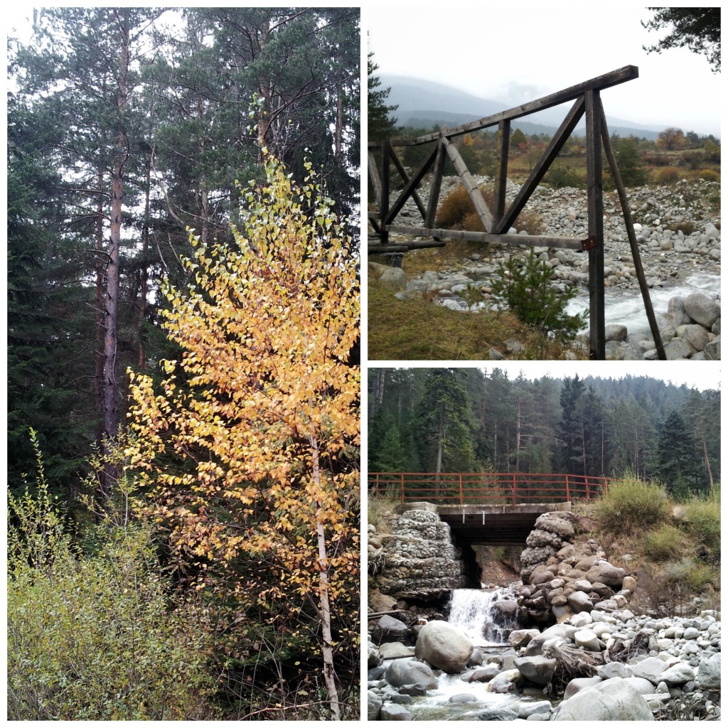 Bansko collage