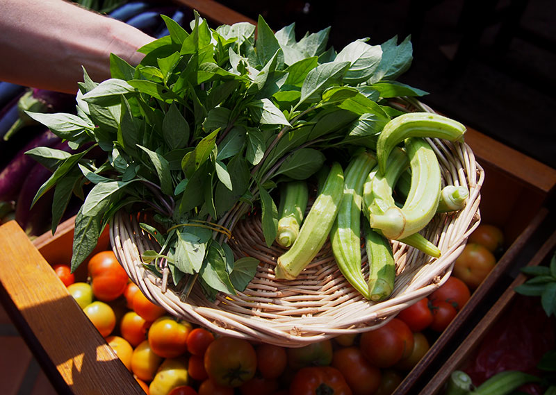 Veggie basket