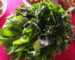 fresh-herbs