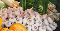 garlic