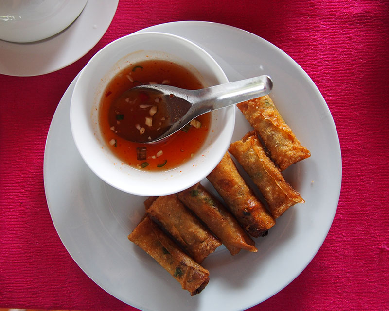 Fried vietnamese spring rolls