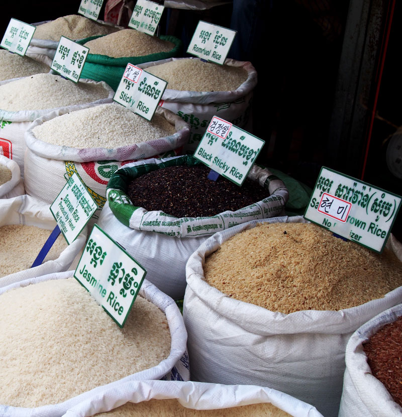 Rice
