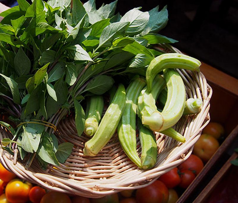 basket-of-okra-and-basil