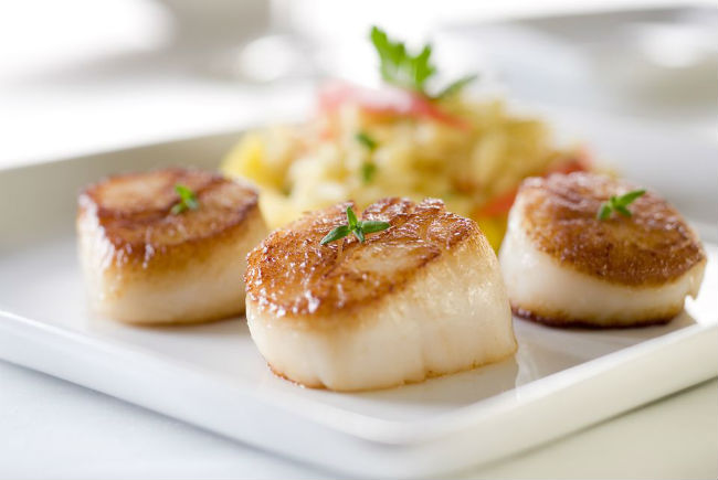 Pan-Seared Scallops