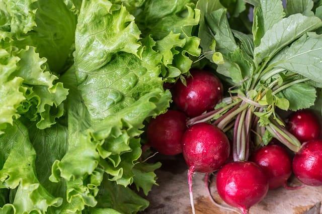 To improve your gut health stick with a plant based diet.