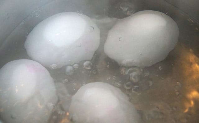 hard boiled eggs in bulk