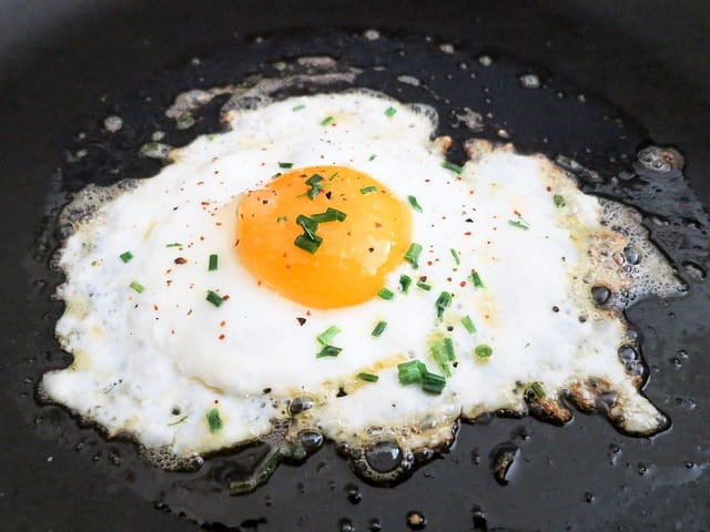 egg
